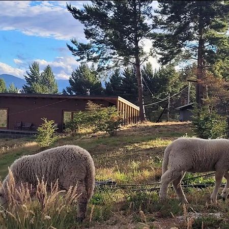 Apartmán Turismo Y Cabanas Dragon De La Patagonia Cochrane Exteriér fotografie