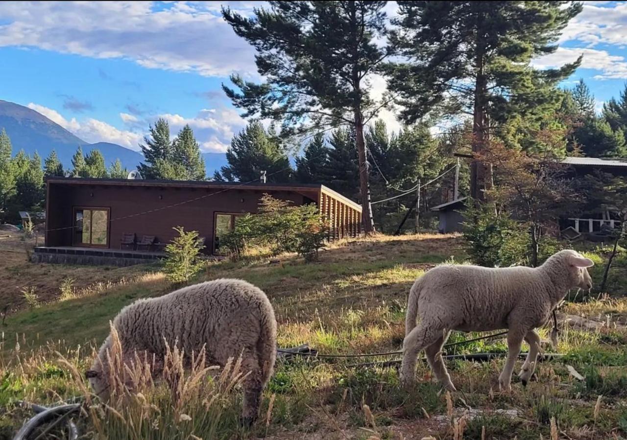 Turismo Y Cabanas Dragon De La Patagonia Cochrane Exteriér fotografie