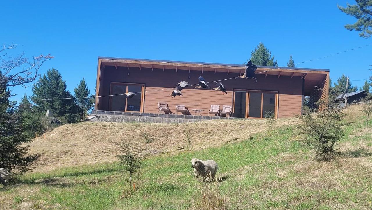 Apartmán Turismo Y Cabanas Dragon De La Patagonia Cochrane Exteriér fotografie